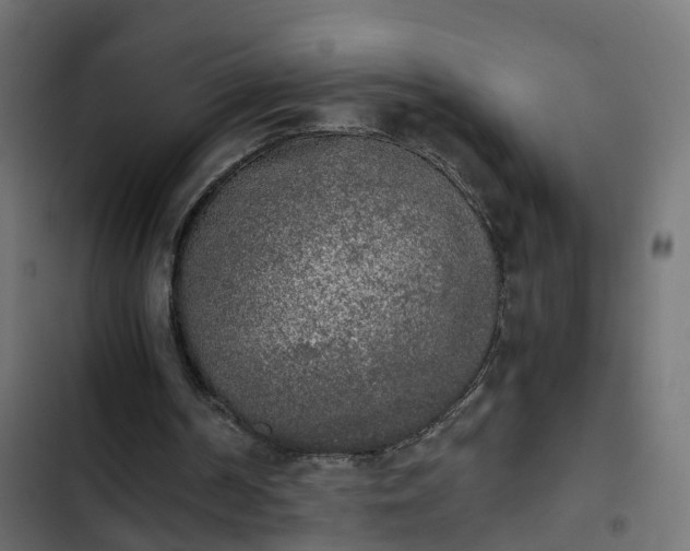 X0000103960194200809261819
