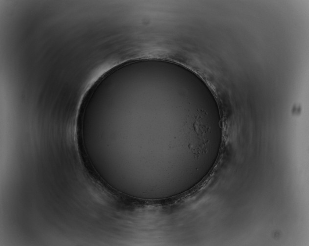 X0000103960196200809261819