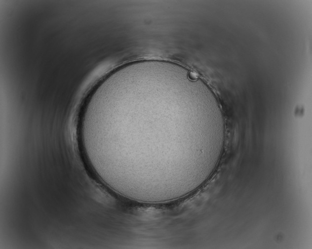 X0000103960197200809261819