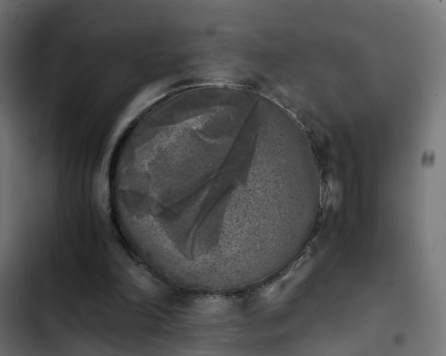 X0000103960198200809261819