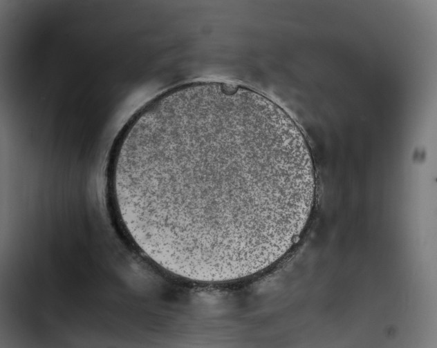 X0000103960199200809261819