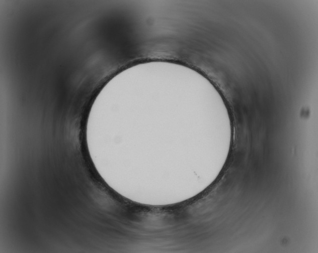X0000103960201200809261819