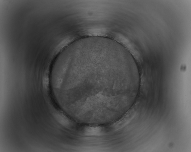 X0000103960202200809261819