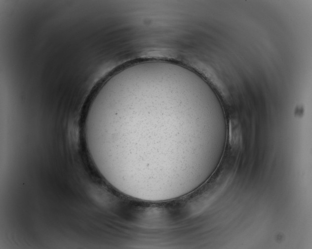 X0000103960204200809261819