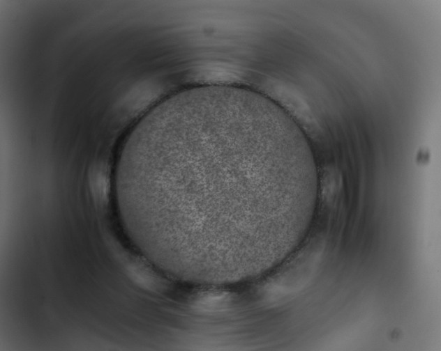 X0000103960206200809261819
