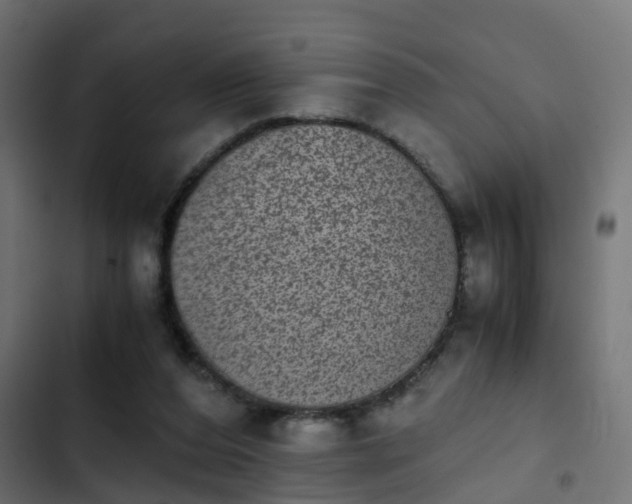 X0000103960208200809261819