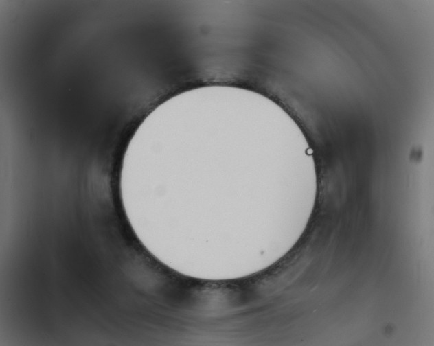 X0000103960209200809261819