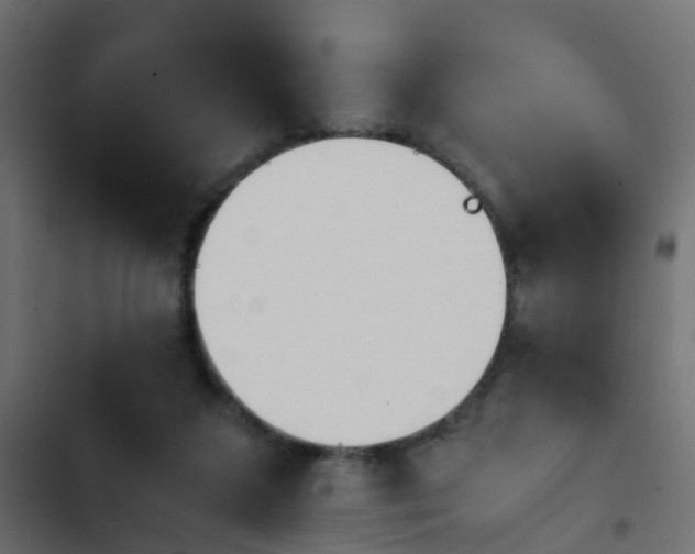 X0000103960211200809261819