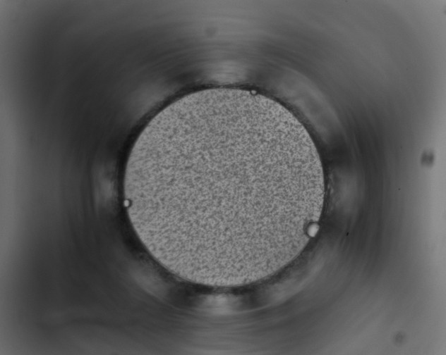 X0000103960212200809261819
