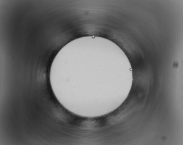 X0000103960213200809261819