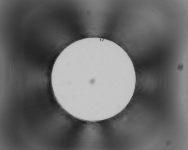 X0000103960215200809261819