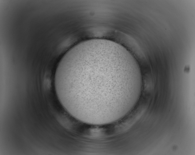 X0000103960216200809261819