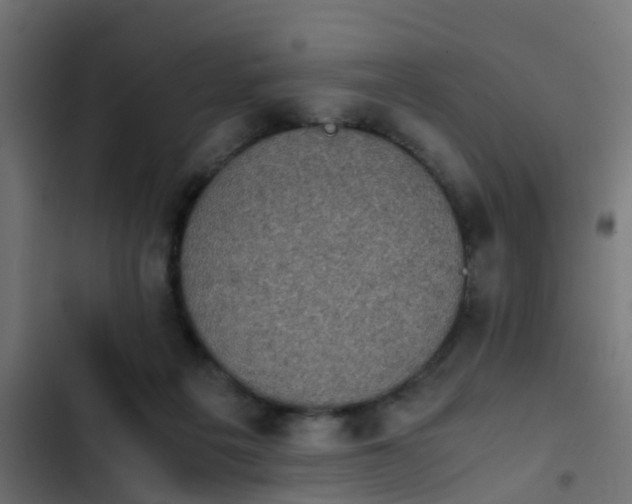 X0000103960217200809261819