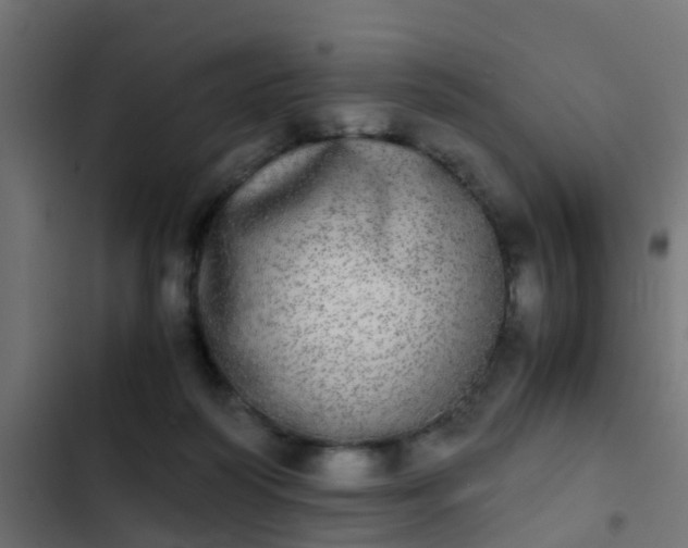 X0000103960218200809261819