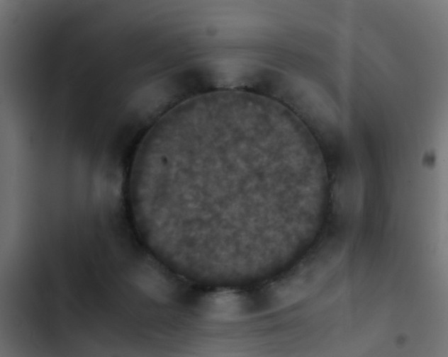 X0000103960219200809261819