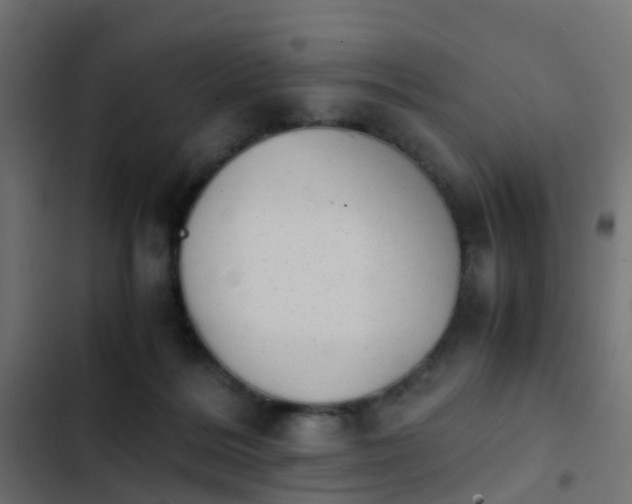 X0000103960220200809261819