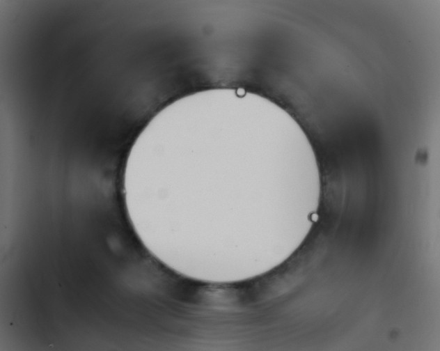 X0000103960221200809261819