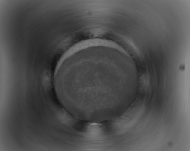 X0000103960222200809261819
