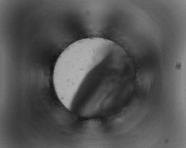 X0000103960223200809261819