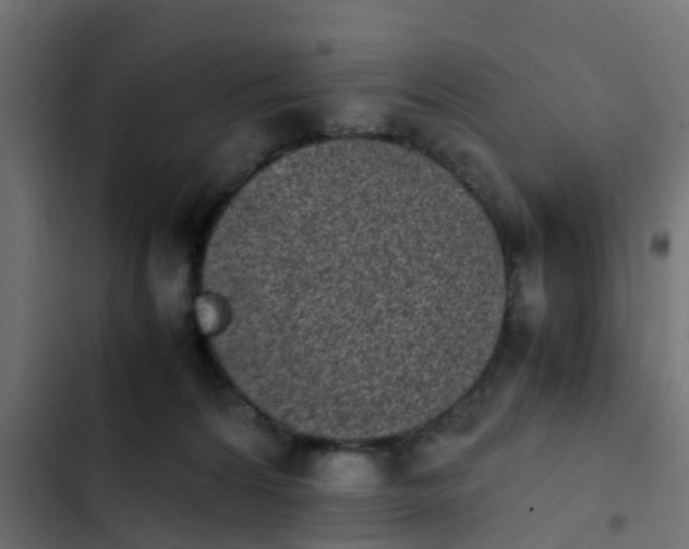 X0000103960224200809261819