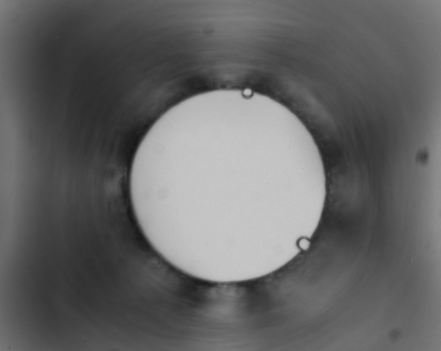 X0000103960225200809261819
