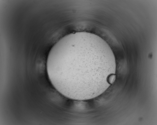 X0000103960226200809261819