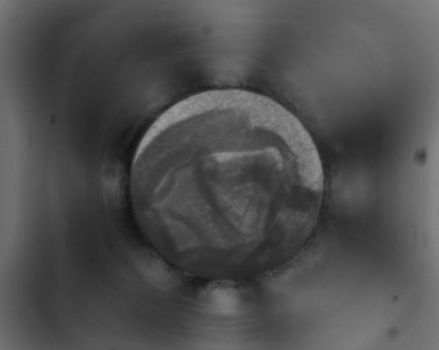 X0000103960228200809261819