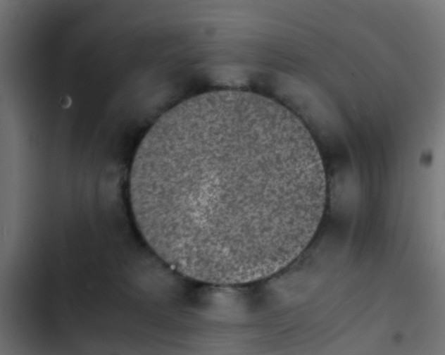X0000103960229200809261819