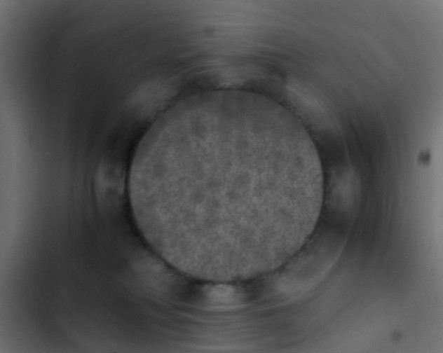 X0000103960230200809261819