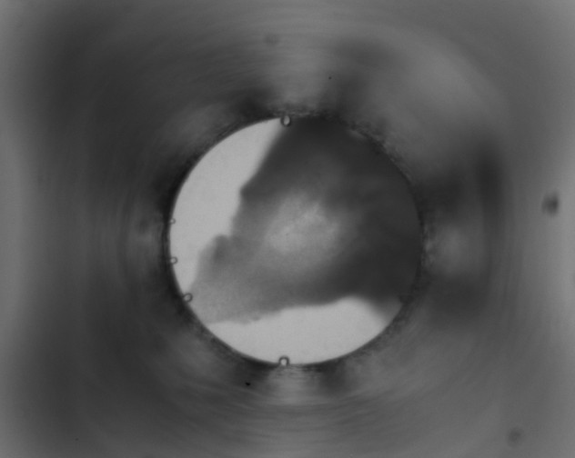 X0000103960231200809261819