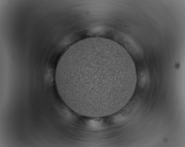 X0000103960232200809261819