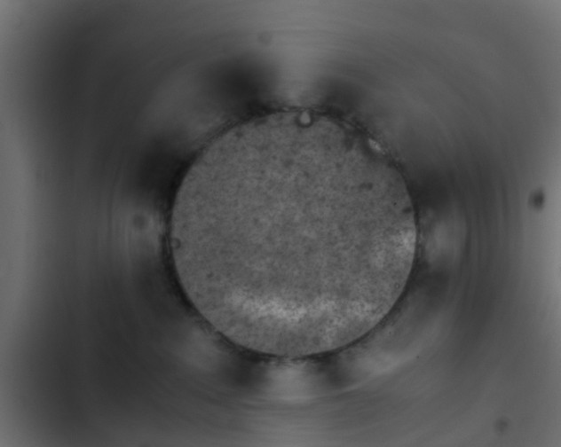 X0000103960235200809261818