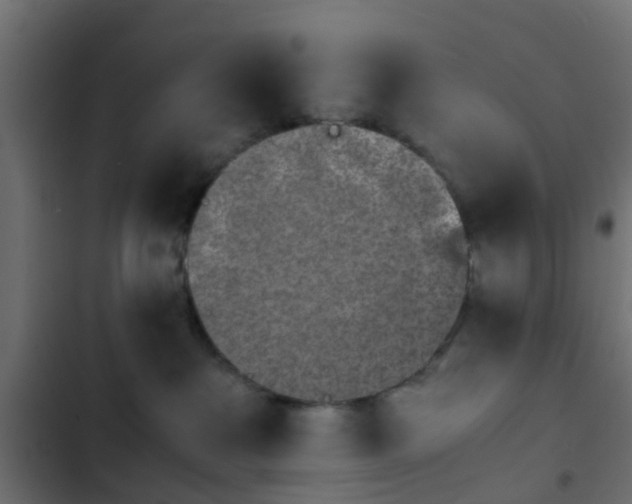 X0000103960237200809261818