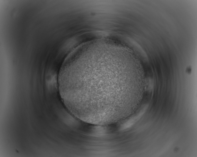 X0000103960238200809261818
