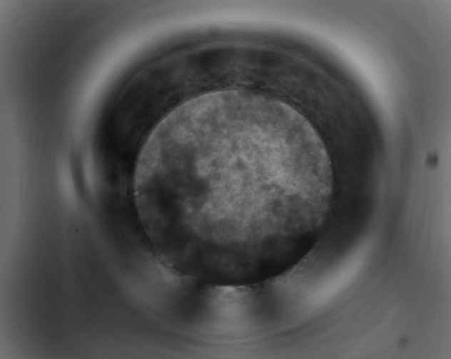 X0000103960239200809261818