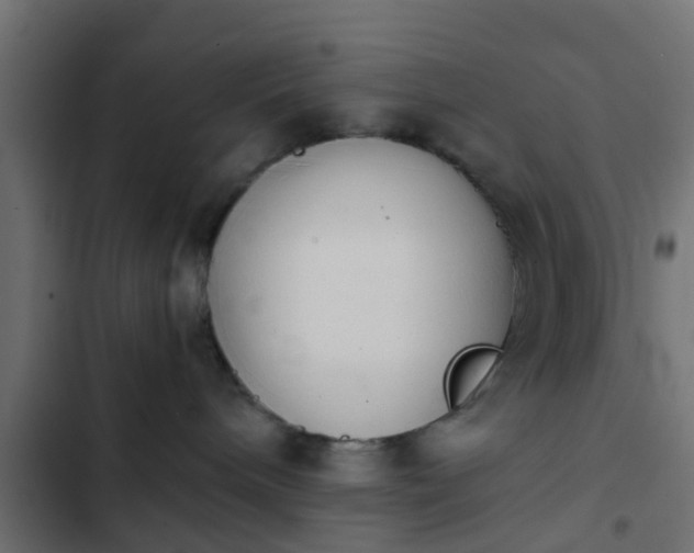 X0000103960240200809261818