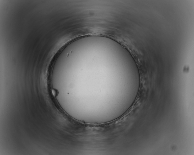 X0000103960242200809261818