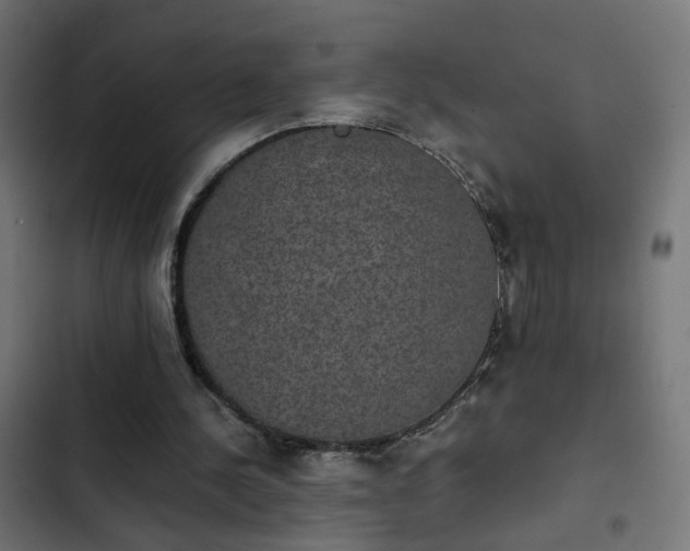 X0000103960244200809261818