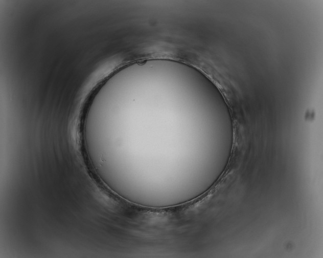 X0000103960245200809261818