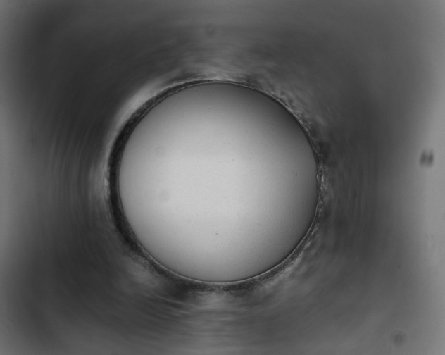 X0000103960246200809261818