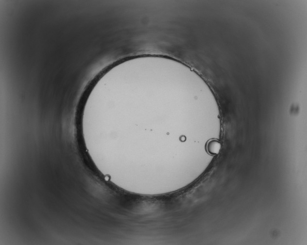 X0000103960248200809261818