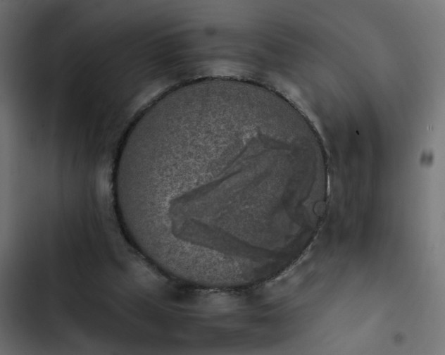 X0000103960249200809261818