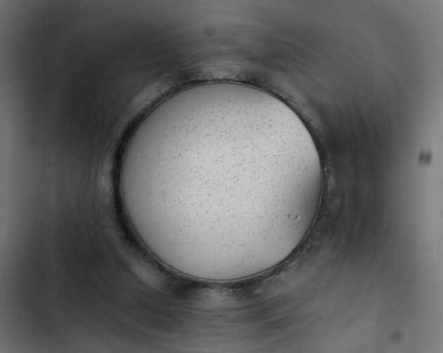 X0000103960250200809261818