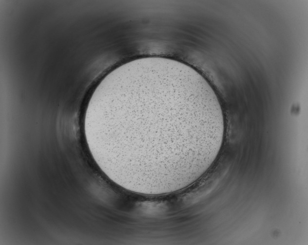 X0000103960251200809261818