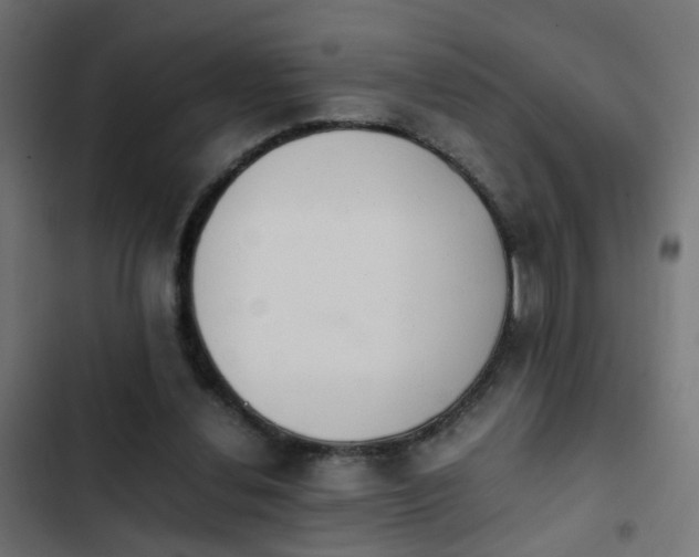 X0000103960252200809261818