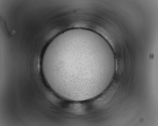 X0000103960253200809261818