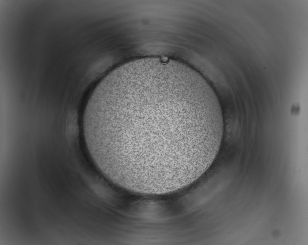 X0000103960254200809261818