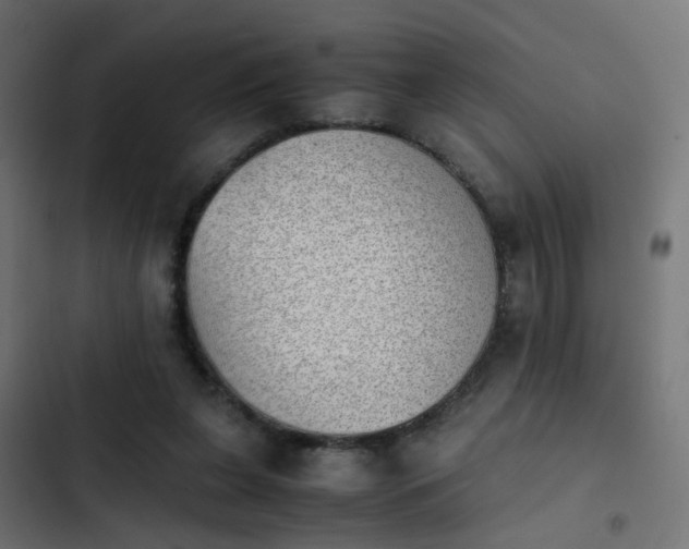 X0000103960255200809261818