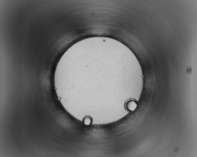 X0000103960256200809261818