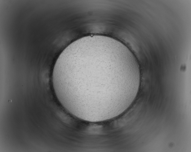 X0000103960257200809261818